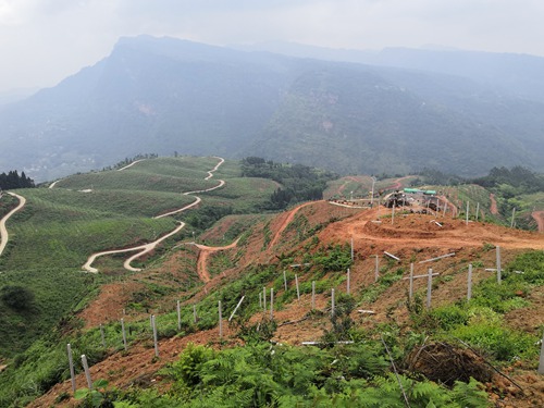 乐山市马边2019年高标准农田建设项目