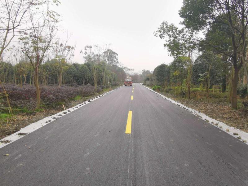 麻柳村社道工程勘察设计