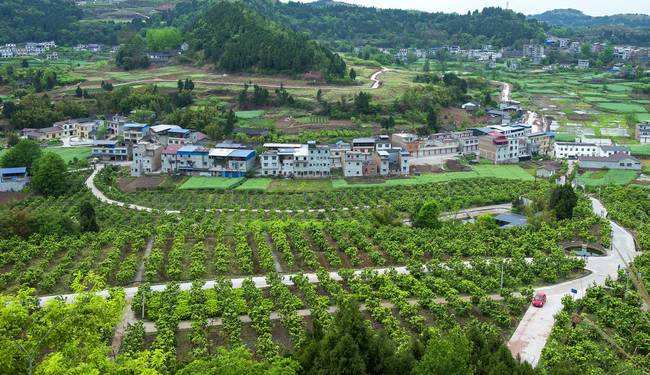 中江县2022年高标准农田建设项目实施方案编制单位采购
