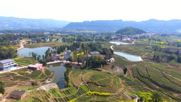 巴中市平昌县 2021-2022 年高标准农田建设项目（2022 年中央预算内投资和财政转移支付高标准农 田建设）设计施工总承包